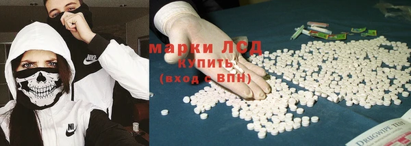 гидропоника Алзамай