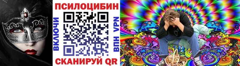 Псилоцибиновые грибы Psilocybe darknet состав Чапаевск